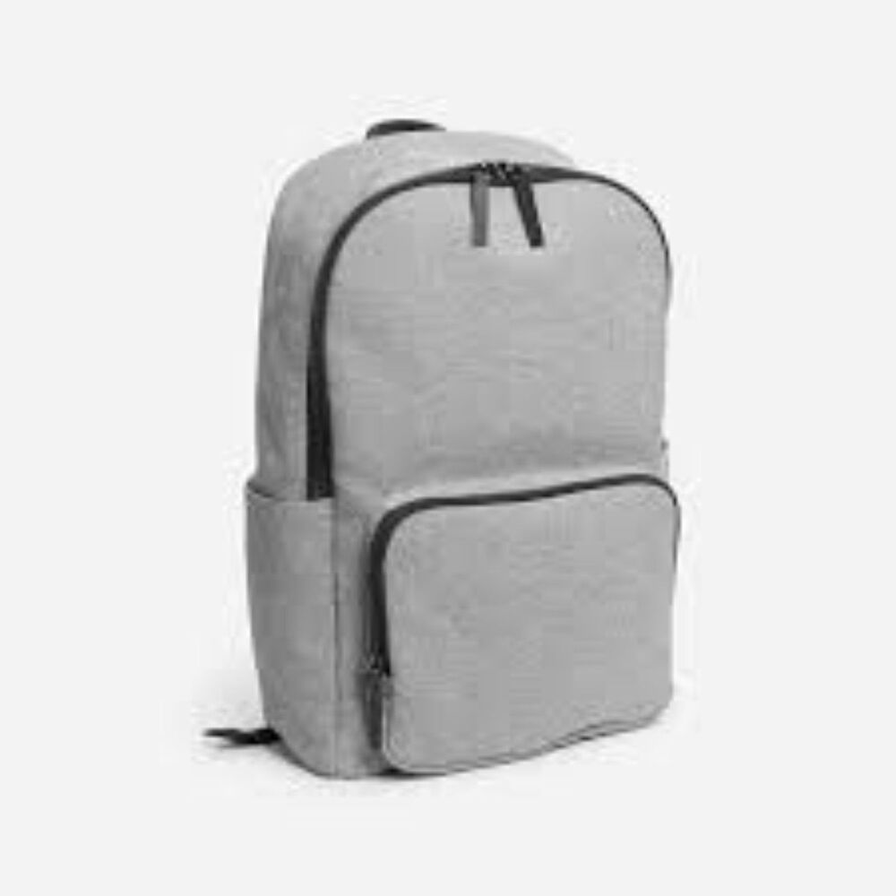 Everlane Cotton Canvas Modern Zip Backpack Rucksack Slate Grey Laptop